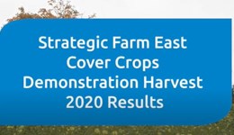Strategic Farm East cover crops demonstration - Harvest 2020 results